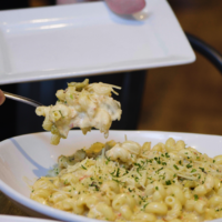 Pasta being scooped onto a plate